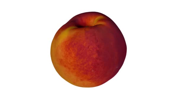 Realistic Render Rotating Peach Nectarine Variety White Background Video Seamlessly — Stock Video