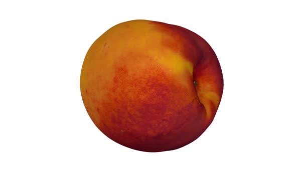 Realistic Render Rotating Peach Nectarine Variety White Background Video Seamlessly — Stock Video