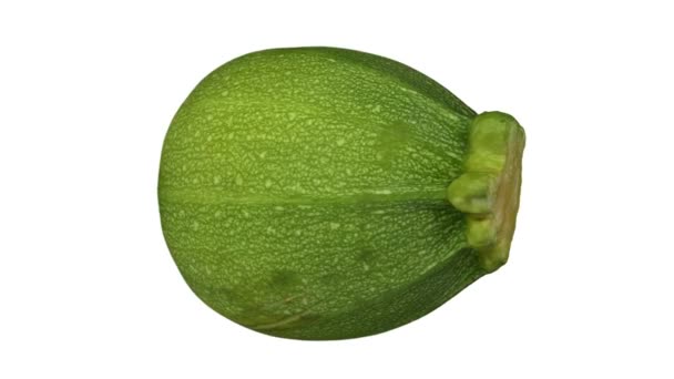 Realistische Render Van Een Roterende Ronde Courgette Ronde Nice Verscheidenheid — Stockvideo