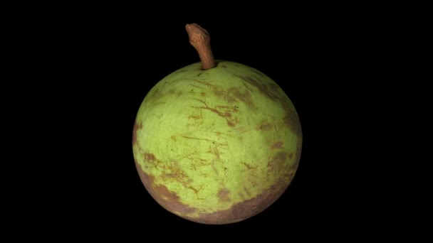 Ρεαλιστική Απόδοση Ένα Περιστρεφόμενο Αστέρι Μήλων Πράσινο Δέρμα Ποικιλία Μαύρο — Αρχείο Βίντεο