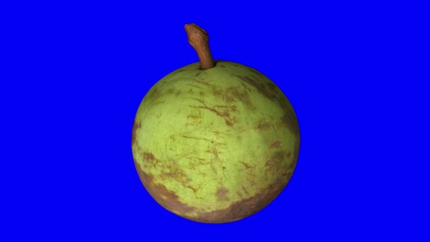 Realistické Vykreslení Rotující Hvězdy Apple Zelenou Slupku Odrůdy Modrém Pozadí — Stock video