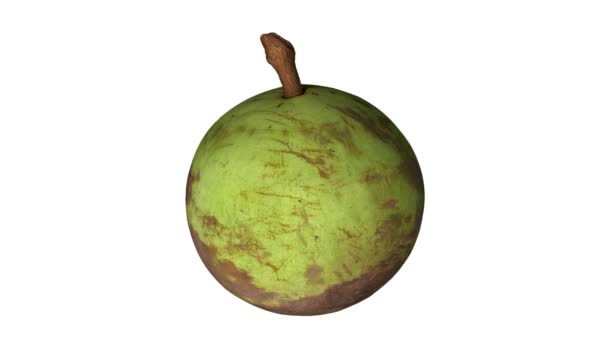 Realistické Vykreslení Rotující Hvězdy Apple Zelenou Slupku Odrůdy Bílém Pozadí — Stock video