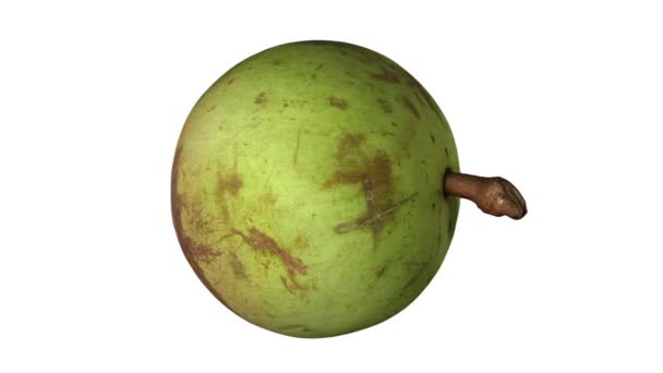 Renderizado Realista Una Manzana Estrella Giratoria Variedad Piel Verde Sobre — Vídeos de Stock