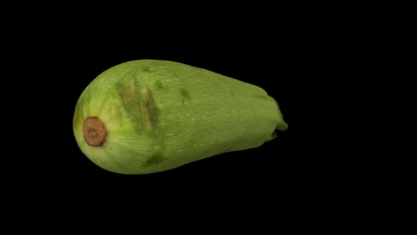 Realistic Render Rotating Zucchini Magda Variety Black Background Video Seamlessly — Stock Video