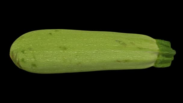 Rendu Réaliste Une Courgette Tournante Variété Magda Sur Fond Noir — Video