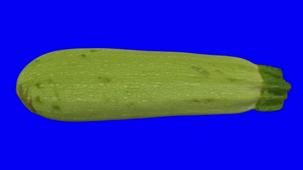 Realistische Darstellung Einer Rotierenden Zucchini Magda Sorte Auf Blauem Hintergrund — Stockvideo