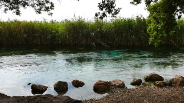 Uma Vista Rio Mediterrâneo Pântanos Torno Dele Tiro Akyaka Golfo — Vídeo de Stock