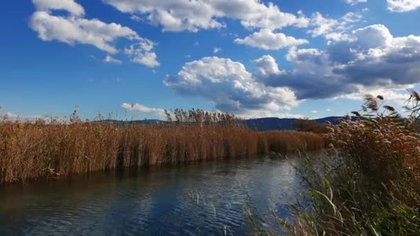 Ein Blick Von Einem Mediterranen Fluss Und Sümpfe Ihn Herum — Stockvideo