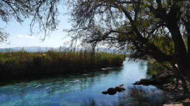 Akdeniz bir nehir ve bataklıklar çevresinde bir manzara. Akyaka (Gökova Körfezi, Ege Denizi), bir sonbahar gününde vurdu.
