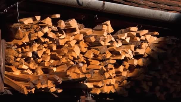 火柴堆的背景 柴堆起来 准备过冬 工业木柴堆积如山 家庭隔离检疫或冬季准备的概念 — 图库视频影像