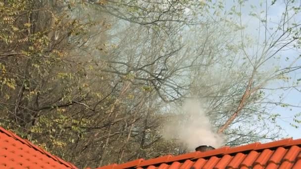 背景と青空に木々がある家で煙突を喫煙 自然加熱法の概念 汚染の概念 古い生き方の概念 — ストック動画