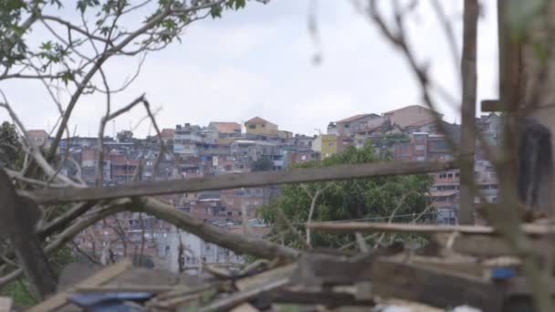 View of Sao Paulo and a chicken in the background - Brazil — Stock Video