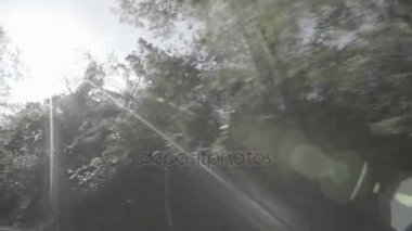 Doğa - Amazon görünümünü