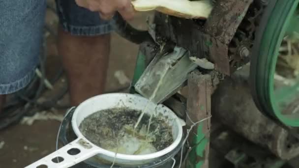 Nativos moendo cana-de-açúcar - Amazon — Vídeo de Stock