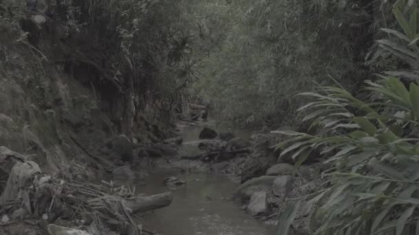 Corriente en el lado de la aldea indígena - Brasil — Vídeo de stock