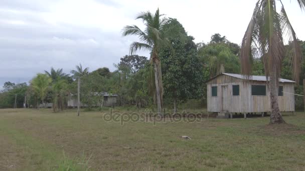 Widok z Paumari village - Amazon — Wideo stockowe