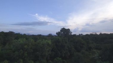 Paumari Köyü - Amazon görünümünü