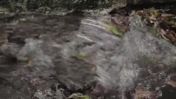 Agua de lluvia corriendo en el arroyo - Brasil — Vídeos de Stock