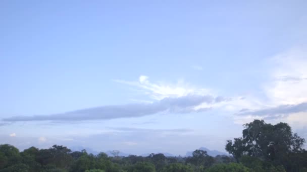 Vista da Floresta Amazônica - Brasil — Vídeo de Stock