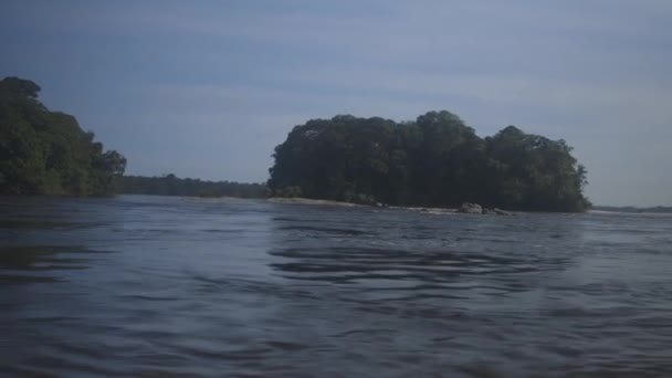 Río Negro y bosque en el fondo - Amazonas - Brasil — Vídeos de Stock