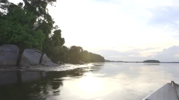 Blick auf den Wald und den schwarzen Fluss aus dem Kanu - amazon - Brasilien — Stockvideo