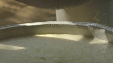 Yerli halk manyok kitle - Amazon - Brezilya kalan Eleme