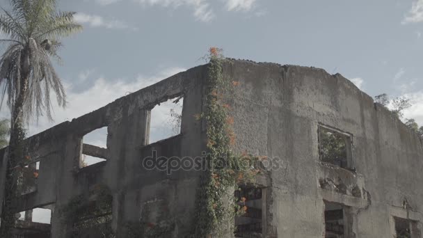 Церковь Утиарити в руинах - Мато Мбаппе - Бразилия — стоковое видео