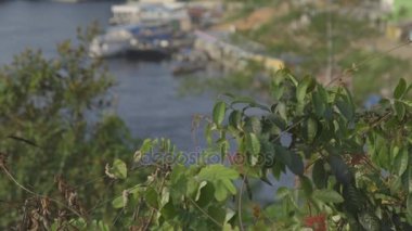 Sao Gabriel da Cachoeira - Amazon - Brezilya arka planda bir bağlantı noktası ile evler