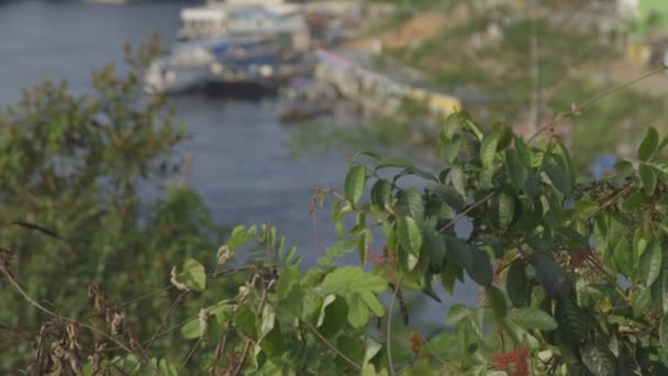 Un port avec des maisons en arrière-plan à Sao Gabriel da Cachoeira - Amazonie - Brésil — Video