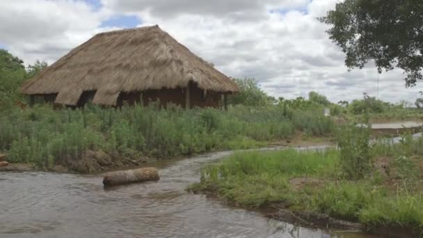 Weergave van een stream met een hut in de achtergrond - Amazonië - Brazilië — Stockvideo