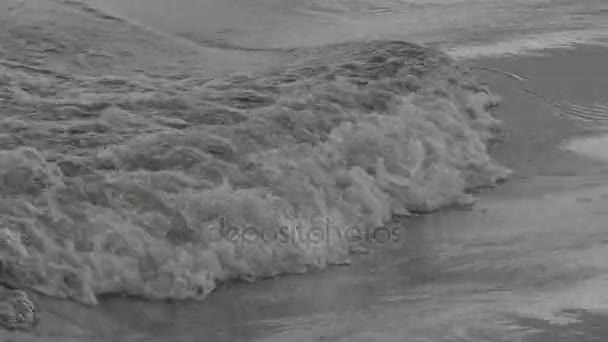 View of flow black river in Sao Gabriel da Cachoeira - Amazon - Brazil — Stock Video