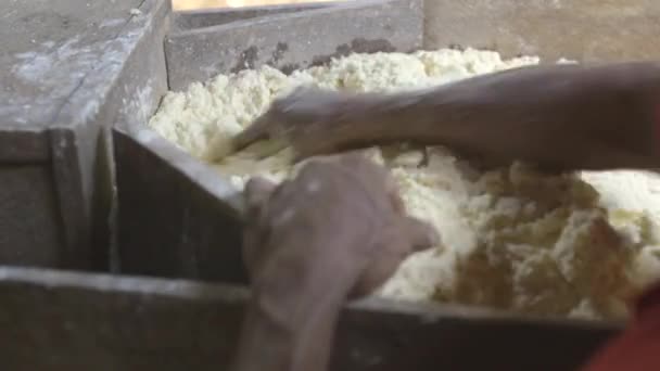 Refining manioc mass with a machine - Amazon - Brazil — Stock Video