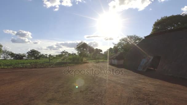 Местная деревня в солнечный день - Амазония - Бразилия — стоковое видео