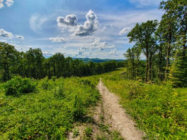 Moun 'un tepesine giden uzun bir yol.