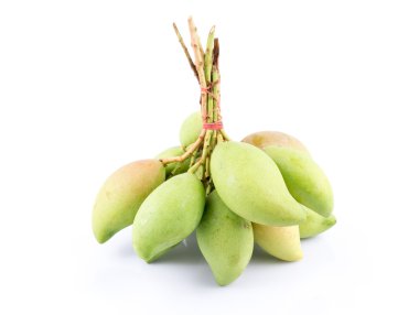 Beyaz arka plan, taze küçük mango bir popula üzerine taze küçük mango