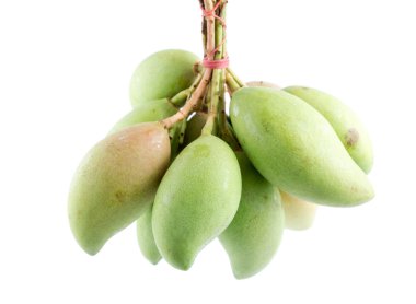 Beyaz arka plan, taze küçük mango bir popula üzerine taze küçük mango