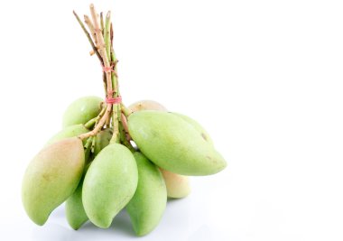 Beyaz arka plan, taze küçük mango bir popula üzerine taze küçük mango