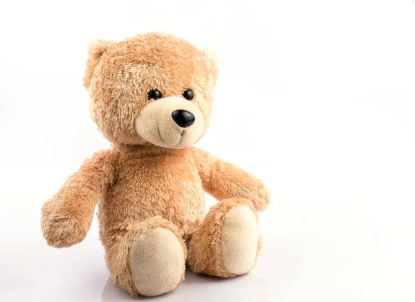 Schattige teddybeer op wit — Stockfoto