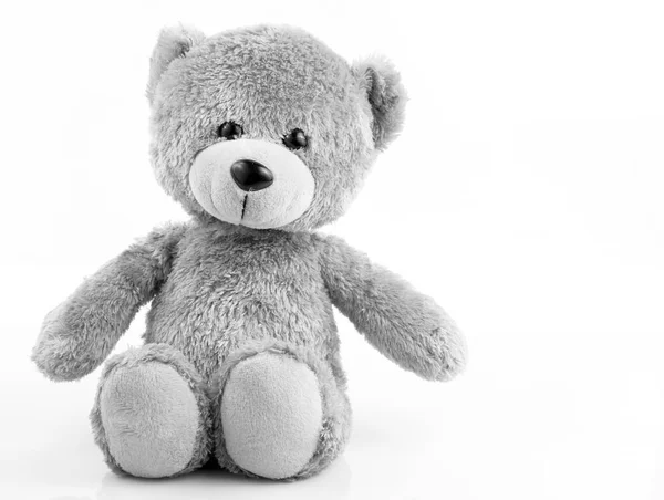 Schattige teddybeer op wit — Stockfoto