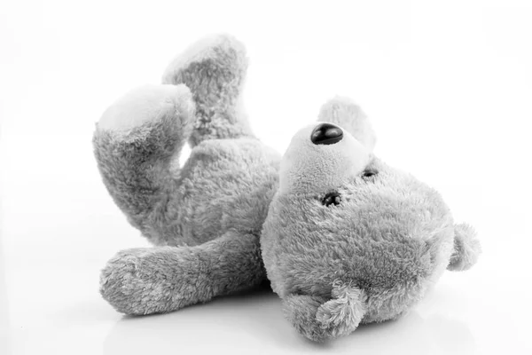 Schattige teddybeer op wit — Stockfoto