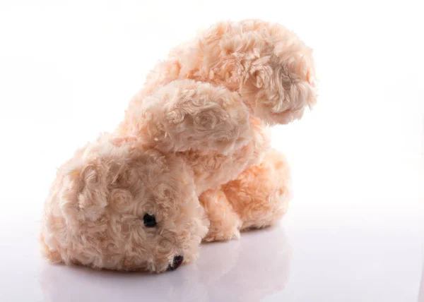 Schattige teddybeer op wit — Stockfoto