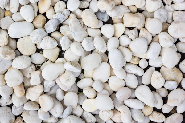 Pebble stenen textuur — Stockfoto