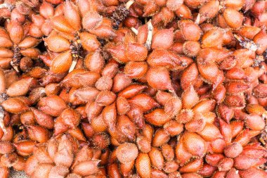 taze kırmızı feragat grup pazarında Satılık