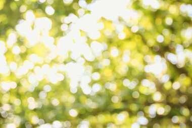 Cavador de tierra masivo