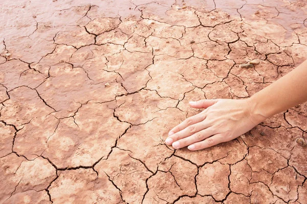 Hand mit trockenem rissigen Boden — Stockfoto