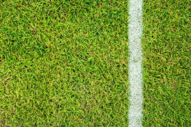 futbol futbol çim sahası