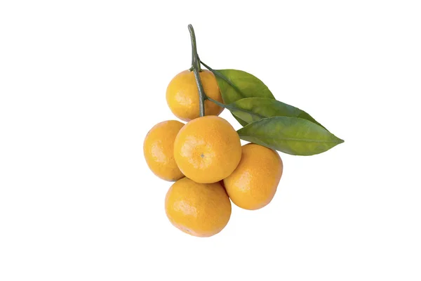 Orangene Früchte auf weißem Hintergrund. — Stockfoto
