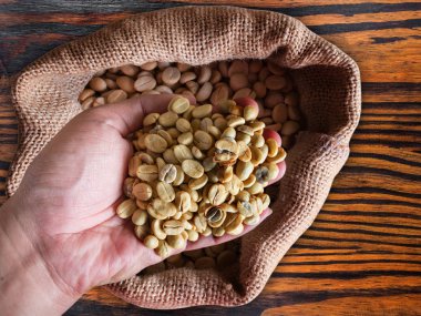 Elimde kahve çekirdeği. 