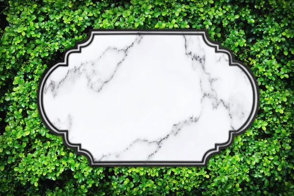 Textura de mármore em folhas verdes fundo da parede . — Fotografia de Stock