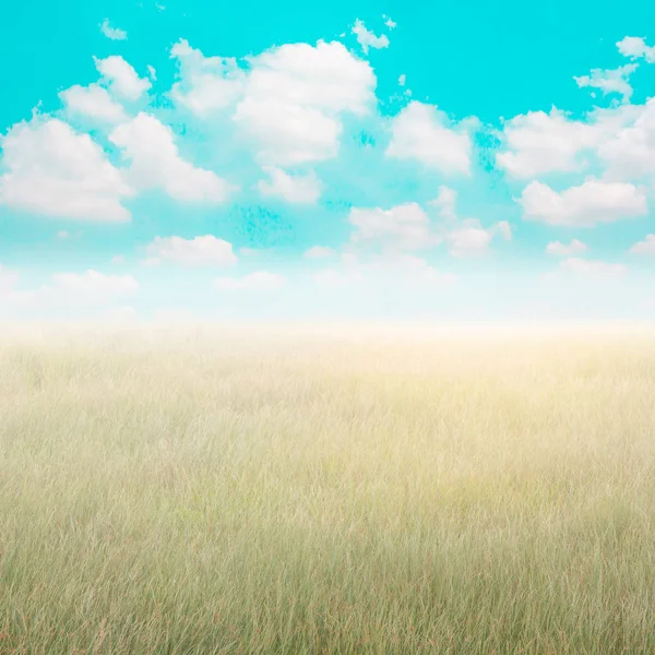 Vista vintage del prado verde y el cielo — Foto de Stock
